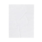Zapp Songs Musical Notes Velveteen Plush Blanket